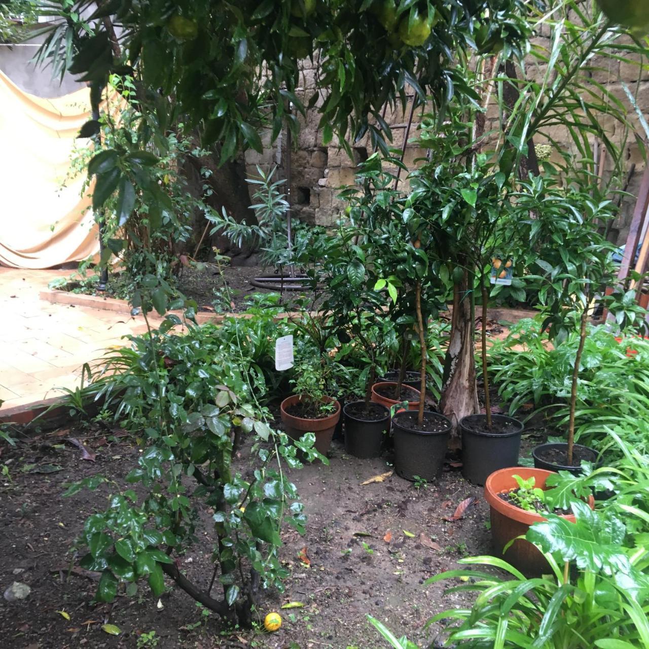 Bed and Breakfast Il Giardino Di Daphne Neapel Exterior foto